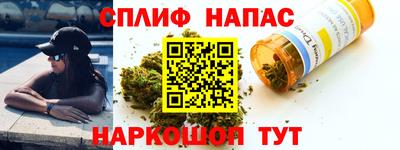 стаф Бердск
