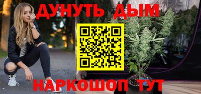 стаф Бердск