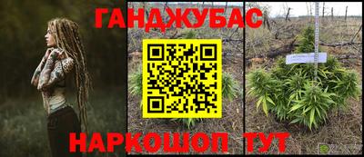 стаф Бердск