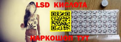 стаф Бердск