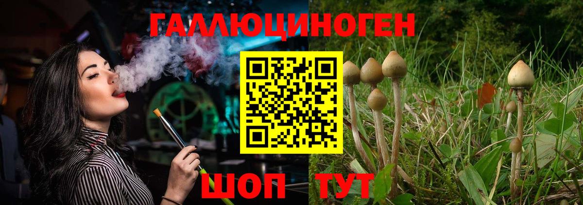 Псилоцибиновые грибы Magic Shrooms  Вход с VPN  Ростов-на-Дону  Псилоцибиновые грибы прущие грибы 